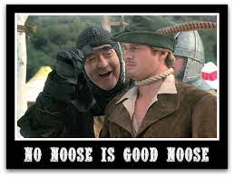 Pin By Elizabeth Gromowski On Mel Brooks Mel Brooks Movies Robin Hood Comedy Tv