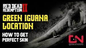 It's on a small island right next to the 2nd camp location.subscribe and become a part of my fellowship!my twitter! Red Dead Redemption 2 Green Iguana Location How To Get Perfect Skin Youtube