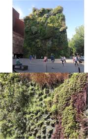 Types of sound absorbing materials. Evaluation Of Green Walls As A Passive Acoustic Insulation System For Buildings Sciencedirect