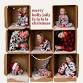 Holiday Photography Sessions — Destination Almonte event image