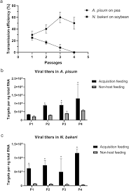 Use high water volume and pressure. Aphid Vectors Impose A Major Bottleneck On Soybean Dwarf Virus Populations For Horizontal Transmission In Soybean Phytopathology Research Full Text