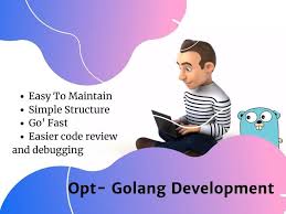 Golang Development A Next Gen Video Software Development Development Website Development
