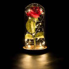 Foleto preserved real rose, forever rose in glass dome gifts for her christmas valentine's day birthday for girlfriend wife (red, large) a quick video review. Forever Rose In Glass Dome