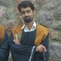 mohammad hossein safarzadeh