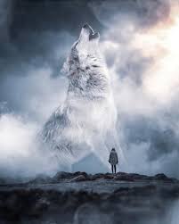 Coup De Coeur Les Superbes Photo Montages De L Artiste Ebenism Photographie Loup Images Loup Et L Art Autour Des Loups
