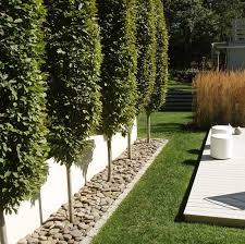 Ideas For Garden Border Www Lomets Com Gardendesignideas Modern Garden Landscaping Garden Landscape Design Privacy Landscaping