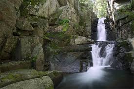 We love that pets are allowed, but be sure to be courteous to fellow park goers. Dixville Flume New Hampshire