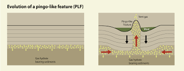 Plf price is up 3.7% in the last 24 hours. Evolution Of A Pingo Like Feature Plf Grid Arendal