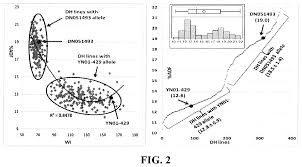 In a letter dated april 28, 2020 and signed by wang shunxue on behalf of eight others, the chinese argued that mosho's actions have brought the administration of justice into disrepute. Fine Mapping And Validation Of Qtl Underlying Fiber Content And Identification Of Snp Markers For Marker Assisted Selection Patent Grant Tang Et Al October 6 2 Dow Agrosciences Llc