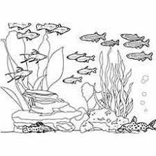 New free coloring pages stay creative at home with our latest. 35 Best Free Printable Ocean Coloring Pages Online