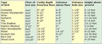 bird house dimensions build the right birdhouse building