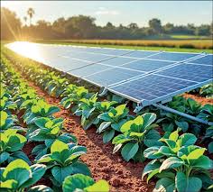 Renewable Energy Development Front Opposes Solar Power Restrictions, Hands Memorandum to President