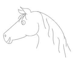 How To Draw A Horse Drawings Art Drawings For Kids Animal Drawings