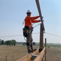 50+ "Rushton" profiles