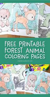 We did not find results for: Free Printable Woodland Animal Coloring Pages For Kids