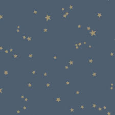We did not find results for: Stars Wallpaper Navy Blue Gold