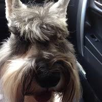 Exo and their pets · sehun and vivi · kai's dog pack · d.o. Exo Pet Allatgyogyaszati Centrum Budapest Vii Kerulete Budapest Budapest