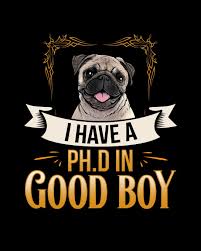 I Have A Ph D In Good Boy Pug Pet Health Medical Tracker