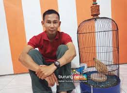 Namun, pakan buatan pabrik untuk burung puyuh harganya cukup tinggi. Kontes Subdenpom Bc Jember Sekali Tarik 4 Kali Bunyi Puyuh Garda Jadi Rebutan Mb Sakau Dan Landro Berbagi Podium Burungnews