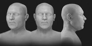 The mummy of Pharaoh AmenH๏τep III (reigned ca. 1388–1351 BC) and its  facial approximation: An anatomical approach