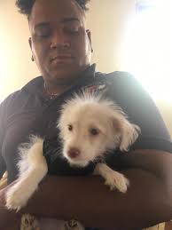 Does anyone have the number for the guy that works at Altice? Been by there  a few times during posted opening hours and he hasn't been there...not  terribly surprising.