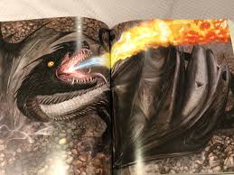 Describe a hungarian horntail ?. The Hungarian Horntail Harry Potter Fan Zone