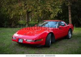 Image result for Dark Red 1994 Corvette