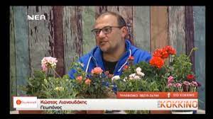 Check spelling or type a new query. Triantafyllia Garyfallia Kai Gerani Ta Mystika Toy Khpoy Sto Kokkino Youtube
