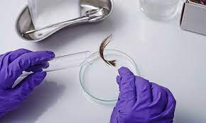 Results for confirmation testing of presumptive positive screens are usually available within an additional 72 hours. Want To Pass The Hair Follicle Drug Test Here S What You Should Know