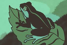 March 2025 News Update