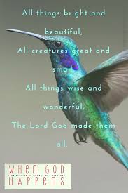 Well i shall be, so there! All Creatures Great And Small Are Loved By God Hymn Hummingbird Beautiful Godisgood Prayer Whengo Faith Blogs Encouragement Quotes Inspirational Quotes