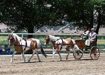 Driving Clinic with Trish Demers