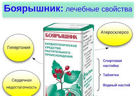 Image result for СР¼РёР¹Р½ Р·Р¾СРёССР¾Р¹ ССССР³Р»СС Р·У©Р²Р»У©Р¼Р¶