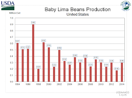 Lima Bean Germination Time Pole Bean Seeds King Of The