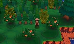 Choices taken in the pledge manager after the campaign ends. Pokearth Hoenn Mirage Island