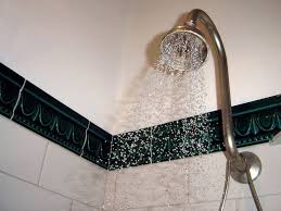 Do You Have A Squealing Shower Eliminate The Noise Now Terry S Plumbing Shower Heads Wd 40 Cold Shower