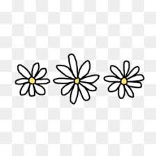 drawing image coloring book illustration doodle aesthetic stickers transparent aesthetic stickers minimalist stickers aesthetic transparent sticker
