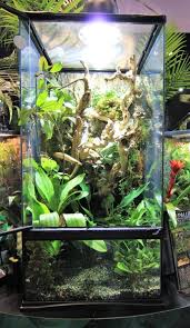 Paludarium Zoo Med Laboratories Inc Bioactive Vivarium Zoo Med Australian Animals