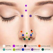 Nose Piercing Types Nose Jewelry Guide Freshtrends