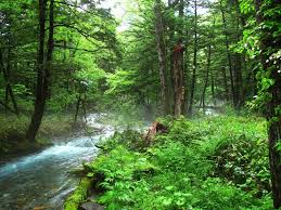 Hello, dsl je comprends pas trop le sens de ta question. L Effet Des Ions Negatifs