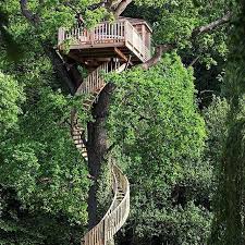 Building a treehouse.without hurting the. How Much You Think This Treehouse Cost To Build My First Guess Was 200k I Had A Lady Tell Me She Thought Some Building A Treehouse Tree House Tree House Diy