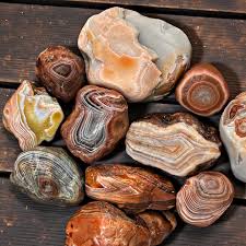 Image result for Agate Red Brown 1956 Wayne Works