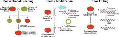 The united states food supply is considered one of the safest & most abundant food supplies. New Survey Results Reveal The Experts And Public S Attitude Towards Gene Edited Crops Eurekalert Science News