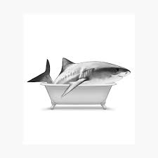 Want to discover art related to bathroom? Shark Bathroom Bathroom Art Ocean Sharks Animal Art Animal Painting Animal Print Art For Children Art For Kids Poster By Printablelisas Redbubble