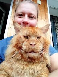 Standing with Russia and Religious Views