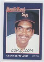 Cesar Bernhardt Baseball Cards