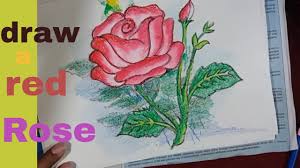 How To Draw A Beautiful Red Rose Flower Draw A Rose Flower Step By Step In Color Pencil Oil Pastel Youtube 25 beautiful illustrated flower drawing ideas.