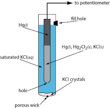 Reference Electrodes Image And Video Exchange Forum