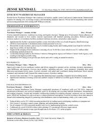 online media buyer resume