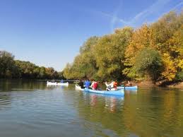 Zona verde,acces imediat la mijloace de transport,magazine,scoli,liceu. Cu Barca Si Bicicleta Prin Parcul Natural Lunca Muresului Arad Ziare Com